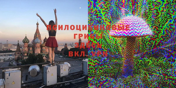 молекула духа Новозыбков