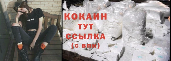 круглые Новодвинск