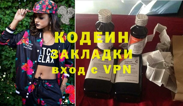 молекула духа Новозыбков