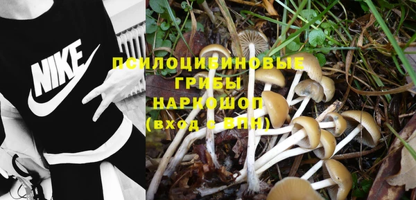 молекула духа Новозыбков