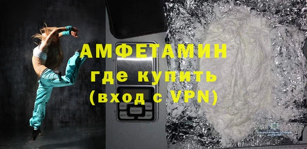 молекула духа Новозыбков