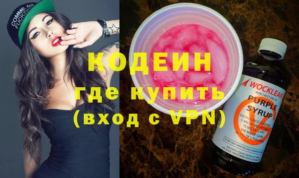 молекула духа Новозыбков