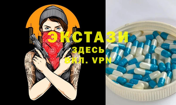 молекула духа Новозыбков