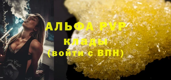молекула духа Новозыбков