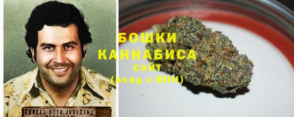 молекула духа Новозыбков