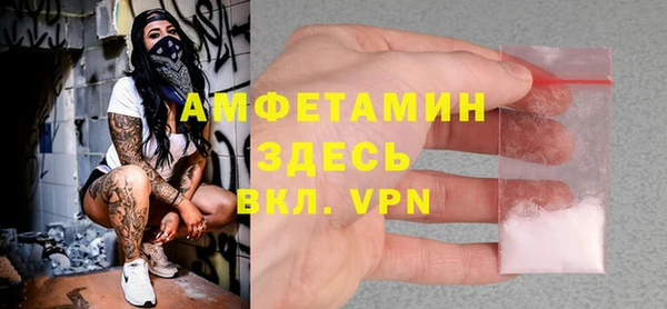 молекула духа Новозыбков