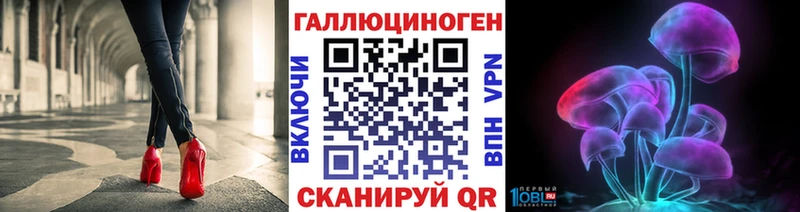 ОМГ ОМГ tor  Калининец  Галлюциногенные грибы Cubensis 